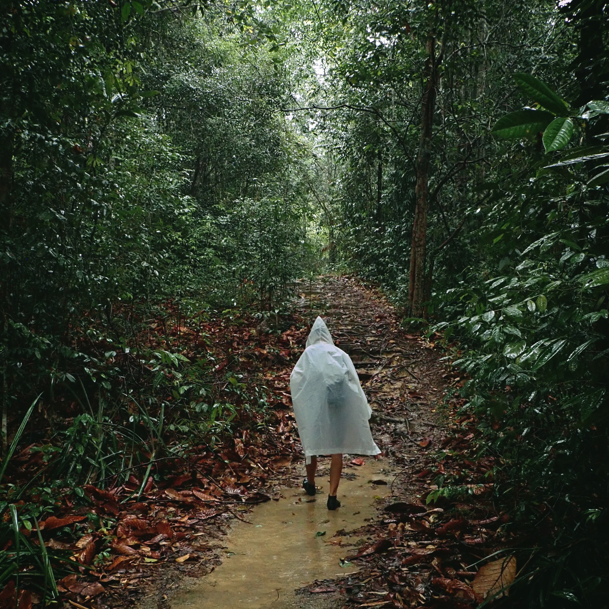 Bung Jagoi Expedition